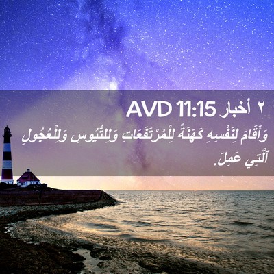 Picture 02 - ٢ أخبار 11:15 AVD - وَأَقَامَ لِنَفْسِهِ - Bible Verse Picture