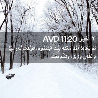 Picture 02 - ٢ أخبار 11:20 AVD - ثُمَّ بَعْدَهَا أَخَذَ - Bible Verse Picture