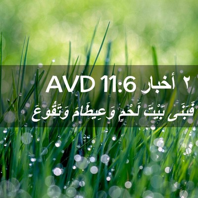 Picture 02 - ٢ أخبار 11:6 AVD - فَبَنَى بَيْتَ لَحْمٍ - Bible Verse Picture