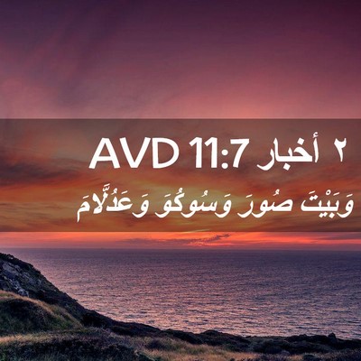 Picture 02 - ٢ أخبار 11:7 AVD - وَبَيْتَ صُورَ وَسُوكُوَ - Bible Verse Picture
