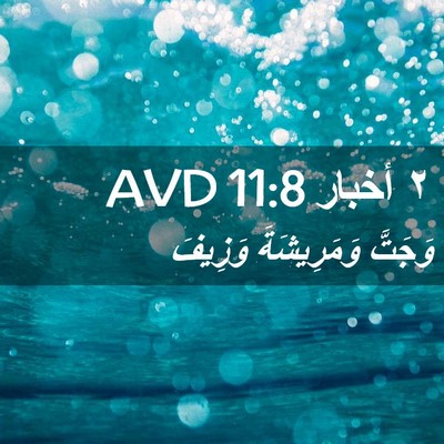 Picture 02 - ٢ أخبار 11:8 AVD - وَجَتَّ وَمَرِيشَةَ - Bible Verse Picture