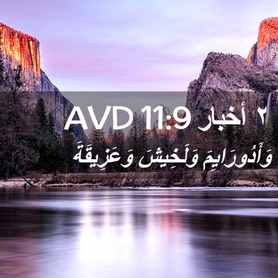 Picture 02 - ٢ أخبار 11:9 AVD - وَأَدُورَايِمَ وَلَخِيشَ - Bible Verse Picture