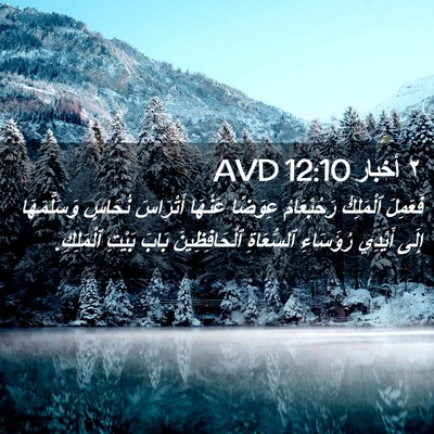 Picture 02 - ٢ أخبار 12:10 AVD - فَعَمِلَ ٱلْمَلِكُ - Bible Verse Picture