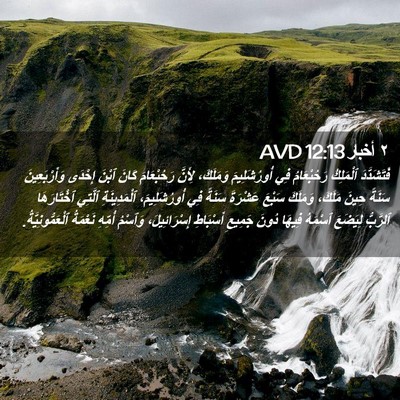 Picture 02 - ٢ أخبار 12:13 AVD - فَتَشَدَّدَ ٱلْمَلِكُ - Bible Verse Picture