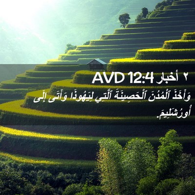 Picture 02 - ٢ أخبار 12:4 AVD - وَأَخَذَ ٱلْمُدُنَ - Bible Verse Picture
