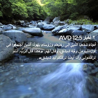 Picture 02 - ٢ أخبار 12:5 AVD - فَجَاءَ شَمْعِيَا - Bible Verse Picture