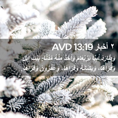 Picture 02 - ٢ أخبار 13:19 AVD - وَطَارَدَ أَبِيَّا - Bible Verse Picture
