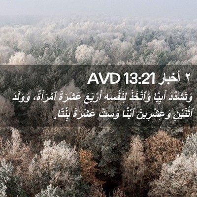 Picture 02 - ٢ أخبار 13:21 AVD - وَتَشَدَّدَ أَبِيَّا - Bible Verse Picture