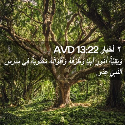 Picture 02 - ٢ أخبار 13:22 AVD - وَبَقِيَّةُ أُمُورِ - Bible Verse Picture