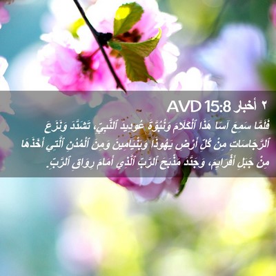 Picture 02 - ٢ أخبار 15:8 AVD - فَلَمَّا سَمِعَ آسَا هَذَا - Bible Verse Picture