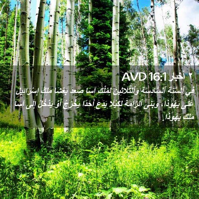 Picture 02 - ٢ أخبار 16:1 AVD - فِي ٱلسَّنَةِ - Bible Verse Picture