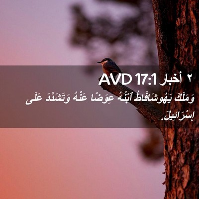 Picture 02 - ٢ أخبار 17:1 AVD - وَمَلَكَ يَهُوشَافَاطُ - Bible Verse Picture