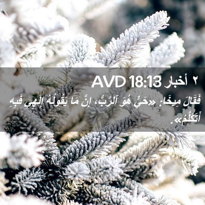 Picture 02 - ٢ أخبار 18:13 AVD - فَقَالَ مِيخَا: «حَيٌّ - Bible Verse Picture