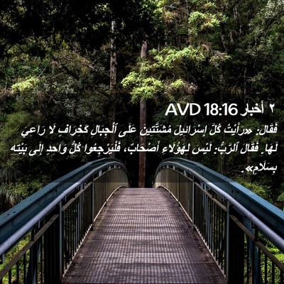 Picture 02 - ٢ أخبار 18:16 AVD - فَقَالَ: «رَأَيْتُ كُلَّ - Bible Verse Picture