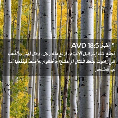 Picture 02 - ٢ أخبار 18:5 AVD - فَجَمَعَ مَلِكُ - Bible Verse Picture