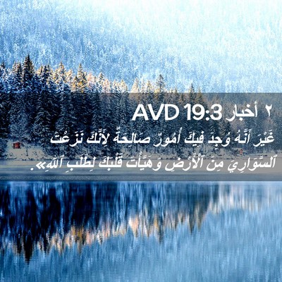 Picture 02 - ٢ أخبار 19:3 AVD - غَيْرَ أَنَّهُ وُجِدَ - Bible Verse Picture