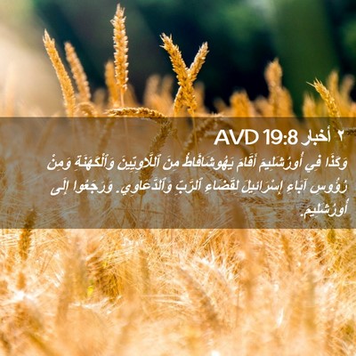 Picture 02 - ٢ أخبار 19:8 AVD - وَكَذَا فِي أُورُشَلِيمَ - Bible Verse Picture