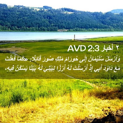 Picture 02 - ٢ أخبار 2:3 AVD - وَأَرْسَلَ سُلَيْمَانُ - Bible Verse Picture