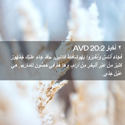 Picture 02 - ٢ أخبار 20:2 AVD - فَجَاءَ أُنَاسٌ - Bible Verse Picture
