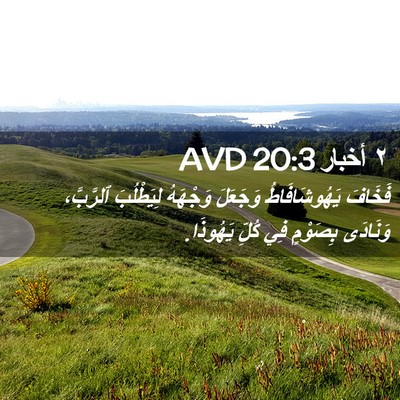 Picture 02 - ٢ أخبار 20:3 AVD - فَخَافَ يَهُوشَافَاطُ - Bible Verse Picture