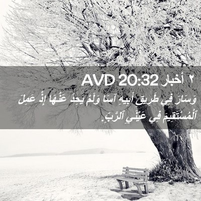 Picture 02 - ٢ أخبار 20:32 AVD - وَسَارَ فِي طَرِيقِ - Bible Verse Picture