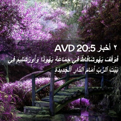 Picture 02 - ٢ أخبار 20:5 AVD - فَوَقَفَ يَهُوشَافَاطُ - Bible Verse Picture