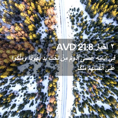Picture 02 - ٢ أخبار 21:8 AVD - فِي أَيَّامِهِ عَصَى - Bible Verse Picture