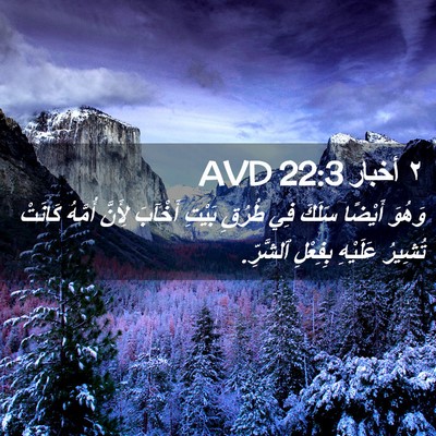 Picture 02 - ٢ أخبار 22:3 AVD - وَهُوَ أَيْضًا سَلَكَ فِي - Bible Verse Picture