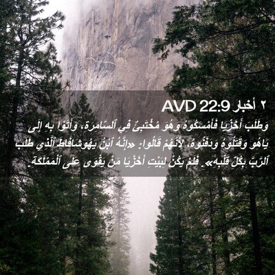Picture 02 - ٢ أخبار 22:9 AVD - وَطَلَبَ أَخَزْيَا - Bible Verse Picture