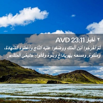 Picture 02 - ٢ أخبار 23:11 AVD - ثُمَّ أَخْرَجُوا ٱبْنَ - Bible Verse Picture