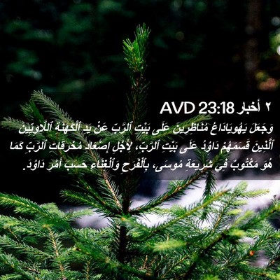 Picture 02 - ٢ أخبار 23:18 AVD - وَجَعَلَ يَهُويَادَاعُ - Bible Verse Picture