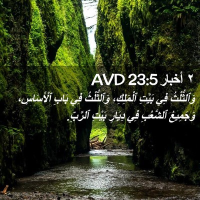 Picture 02 - ٢ أخبار 23:5 AVD - وَٱلثُّلْثُ فِي بَيْتِ - Bible Verse Picture