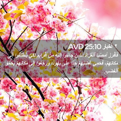 Picture 02 - ٢ أخبار 25:10 AVD - فَأَفْرَزَ أَمَصْيَا - Bible Verse Picture