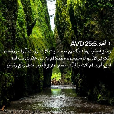 Picture 02 - ٢ أخبار 25:5 AVD - وَجَمَعَ أَمَصْيَا - Bible Verse Picture