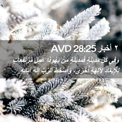 Picture 02 - ٢ أخبار 28:25 AVD - وَفِي كُلِّ مَدِينَةٍ - Bible Verse Picture