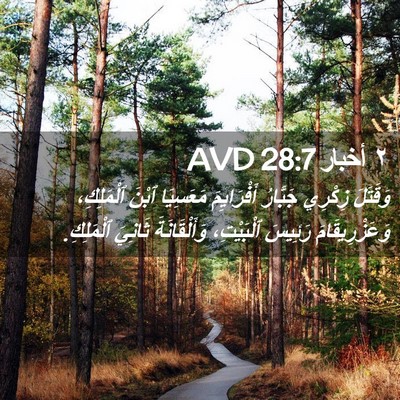 Picture 02 - ٢ أخبار 28:7 AVD - وَقَتَلَ زِكْرِي جَبَّارُ - Bible Verse Picture