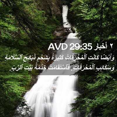 Picture 02 - ٢ أخبار 29:35 AVD - وَأَيْضًا كَانَتِ - Bible Verse Picture