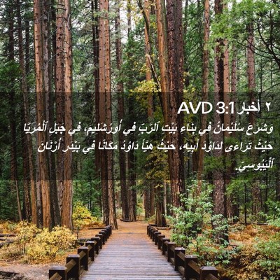 Picture 02 - ٢ أخبار 3:1 AVD - وَشَرَعَ سُلَيْمَانُ فِي - Bible Verse Picture
