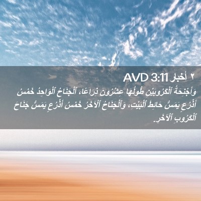 Picture 02 - ٢ أخبار 3:11 AVD - وَأَجْنِحَةُ - Bible Verse Picture