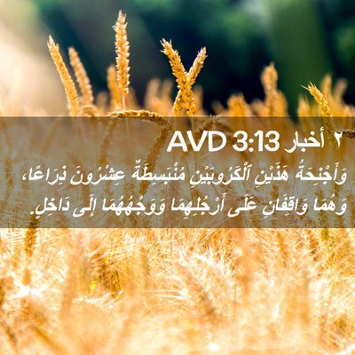Picture 02 - ٢ أخبار 3:13 AVD - وَأَجْنِحَةُ هَذَيْنِ - Bible Verse Picture
