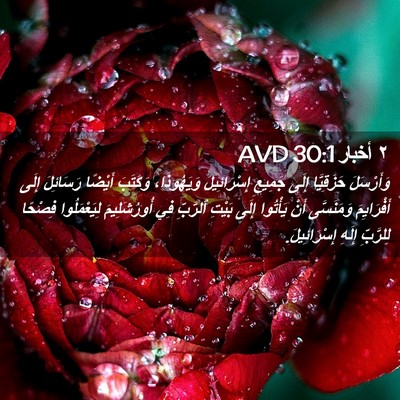 Picture 02 - ٢ أخبار 30:1 AVD - وَأَرْسَلَ حَزَقِيَّا - Bible Verse Picture