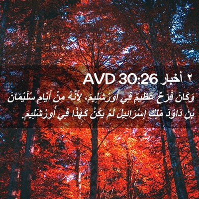 Picture 02 - ٢ أخبار 30:26 AVD - وَكَانَ فَرَحٌ عَظِيمٌ فِي - Bible Verse Picture