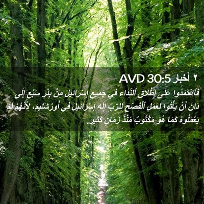 Picture 02 - ٢ أخبار 30:5 AVD - فَٱعْتَمَدُوا عَلَى - Bible Verse Picture