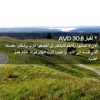 Picture 02 - ٢ أخبار 30:8 AVD - ٱلْآنَ لَا تُصَلِّبُوا - Bible Verse Picture