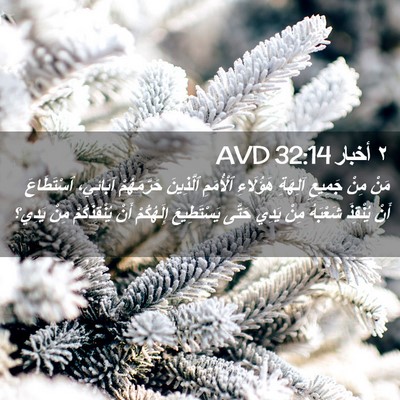 Picture 02 - ٢ أخبار 32:14 AVD - مَنْ مِنْ جَمِيعِ آلِهَةِ - Bible Verse Picture