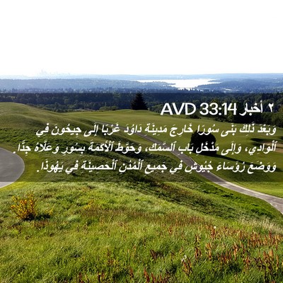 Picture 02 - ٢ أخبار 33:14 AVD - وَبَعْدَ ذَلِكَ بَنَى - Bible Verse Picture