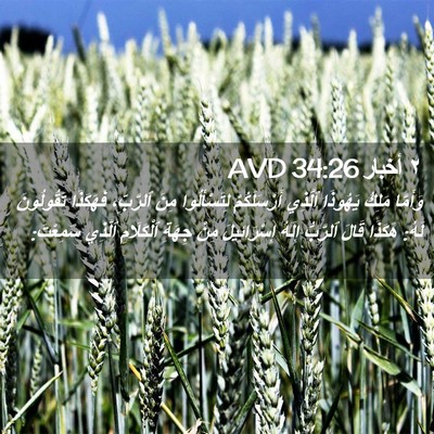 Picture 02 - ٢ أخبار 34:26 AVD - وَأَمَّا مَلِكُ يَهُوذَا - Bible Verse Picture