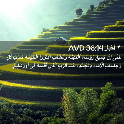 Picture 02 - ٢ أخبار 36:14 AVD - حَتَّى إِنَّ جَمِيعَ - Bible Verse Picture