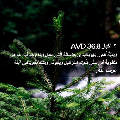 Picture 02 - ٢ أخبار 36:8 AVD - وَبَقِيَّةُ أُمُورِ - Bible Verse Picture