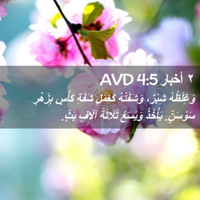 Picture 02 - ٢ أخبار 4:5 AVD - وَغِلَظُهُ شِبْرٌ، - Bible Verse Picture